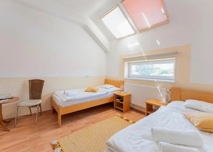 Oazis Hotel*** 3* Надьканижа